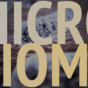 Gut Check Exploring Your Microbiome