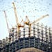 Structure: Building the Frame for Business Growth