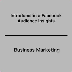 Introducción a Facebook Audience Insights - Online CE Course