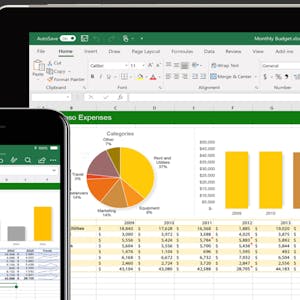 إدارة البيانات في مايكرسوفت إكسل | Managing Data in MS Excel - Online CE Course