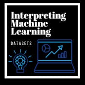 Interpreting Machine Learning datasets