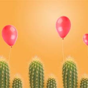 Project Management Control using the Earned Value and Risk