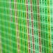 Plant Bioinformatics