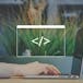 XML Practical - XSLT and SVG Project