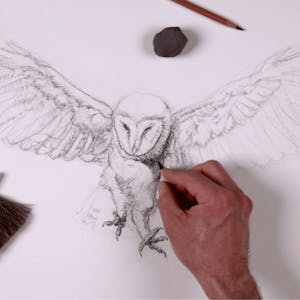 How to Draw: A Beginner’s Guide Pt 1 – Basic Shapes - Online CE Course