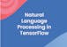 Natural Language Processing in TensorFlow