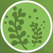 Introduction to Seaweeds