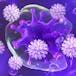Fundamentals of Immunology: Dueling with Pathogens and Cancer