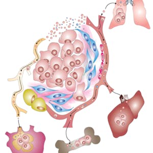 Extracellular Vesicles in Health and Disease