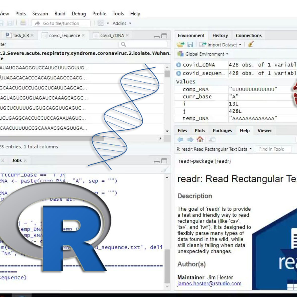 Reverse and complement nucleic acid sequences (DNA, RNA) using R