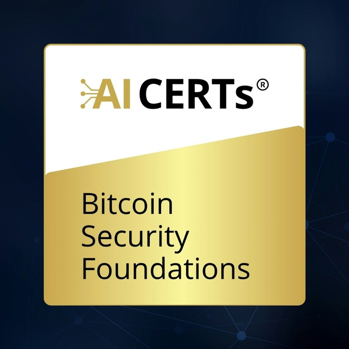 Bitcoin Security Foundations 