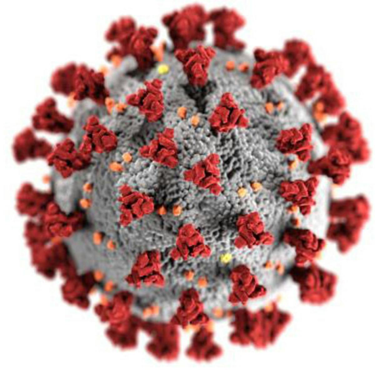 Covid 19 A Clinical Update Coursera