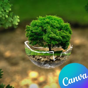 Crear contenido de conciencia ambiental con Canva - Online CE Course