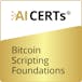 Bitcoin Scripting Foundations