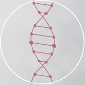 From Disease to Genes and Back
