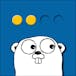 Functions, Methods, and Interfaces in Go