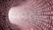 Data Management and Visualization