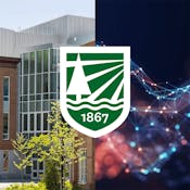 Simulation for Digital Transformation