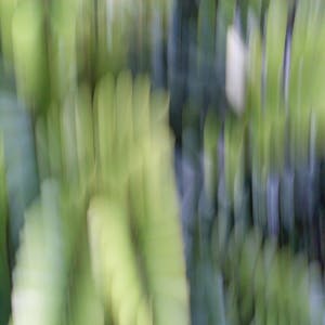 Sistemas difusos from Universidad Nacional de Colombia online course platform