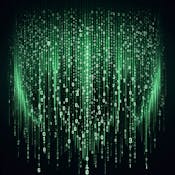 Security & Ethical Hacking: Attacking Unix and Windows