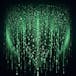Security & Ethical Hacking: Attacking Unix and Windows 