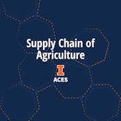 Supply Chain of Agriculture