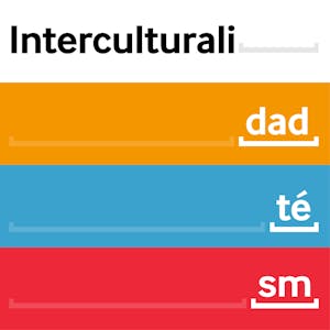 Comprender las dimensiones interculturales en la cotidianidad - Online CE Course