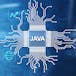 Java Development Capstone Project