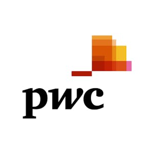 Data Analysis and Presentation Skills: the PwC Approach Final Project from Coursera | Course by Edvicer