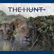 The Hunt: Job-Searching and Career-Building with Purpose