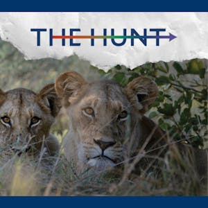 The Hunt: Job-Searching and Career-Building with Purpose from Yale University online course platform