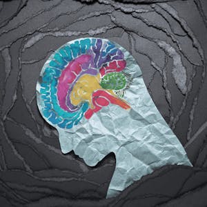 Anxiety and Related Disorders - Online CE Course