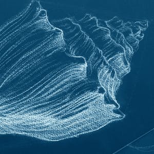 Image for the How to Draw: A Beginner’s Guide Pt 2 – Form & Structure course