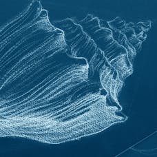 Learn to Draw | Coursera