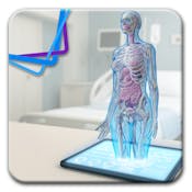 Inside the Human Body: The A&P Essentials Every Nurse Needs
