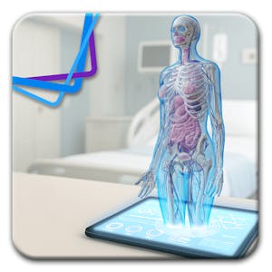 Inside the Human Body: The A&P Essentials Every Nurse Needs from Immersify online course platform