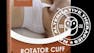Rotator Cuff Assessment and Treatment Techniques