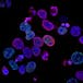 The Little Stuff: Energy, Cells, and Genetics