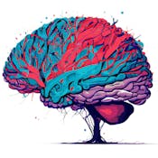 Neural Basis of Imagination, Free Will, and Morality