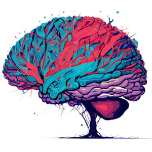 Neural Basis of Imagination, Free Will, and Morality - Online CE Course