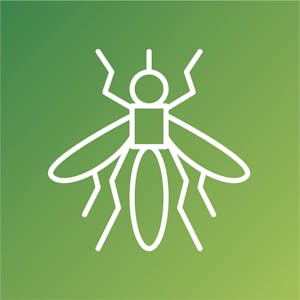 Interventions and Calibration