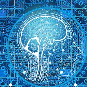Specialized Models Time Series and Survival Analysis