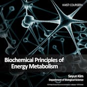 Biochemical Principles of Energy Metabolism