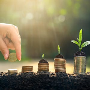 Fundos de Investimento from Fundação Instituto de Administração online course platform