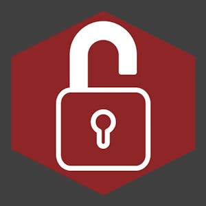 Cyber Threats and Attack Vectors