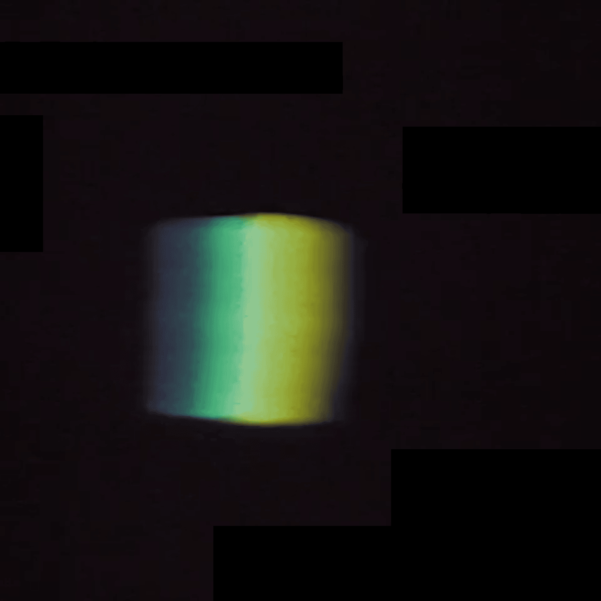 Interdisciplinarity in Thought and Practice