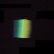 Interdisciplinarity in Thought and Practice