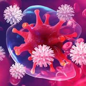 Fundamentals of Immunology Innate Immunity and B-Cell Function