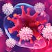 Fundamentals of Immunology: Innate Immunity and B-Cell Function