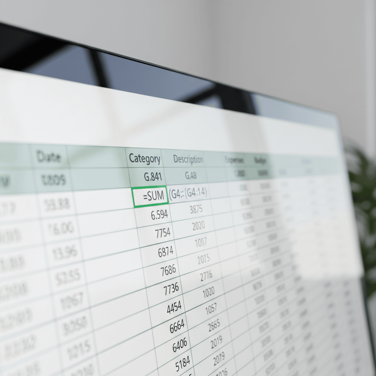 Apply Microsoft Excel Basics for Data Management